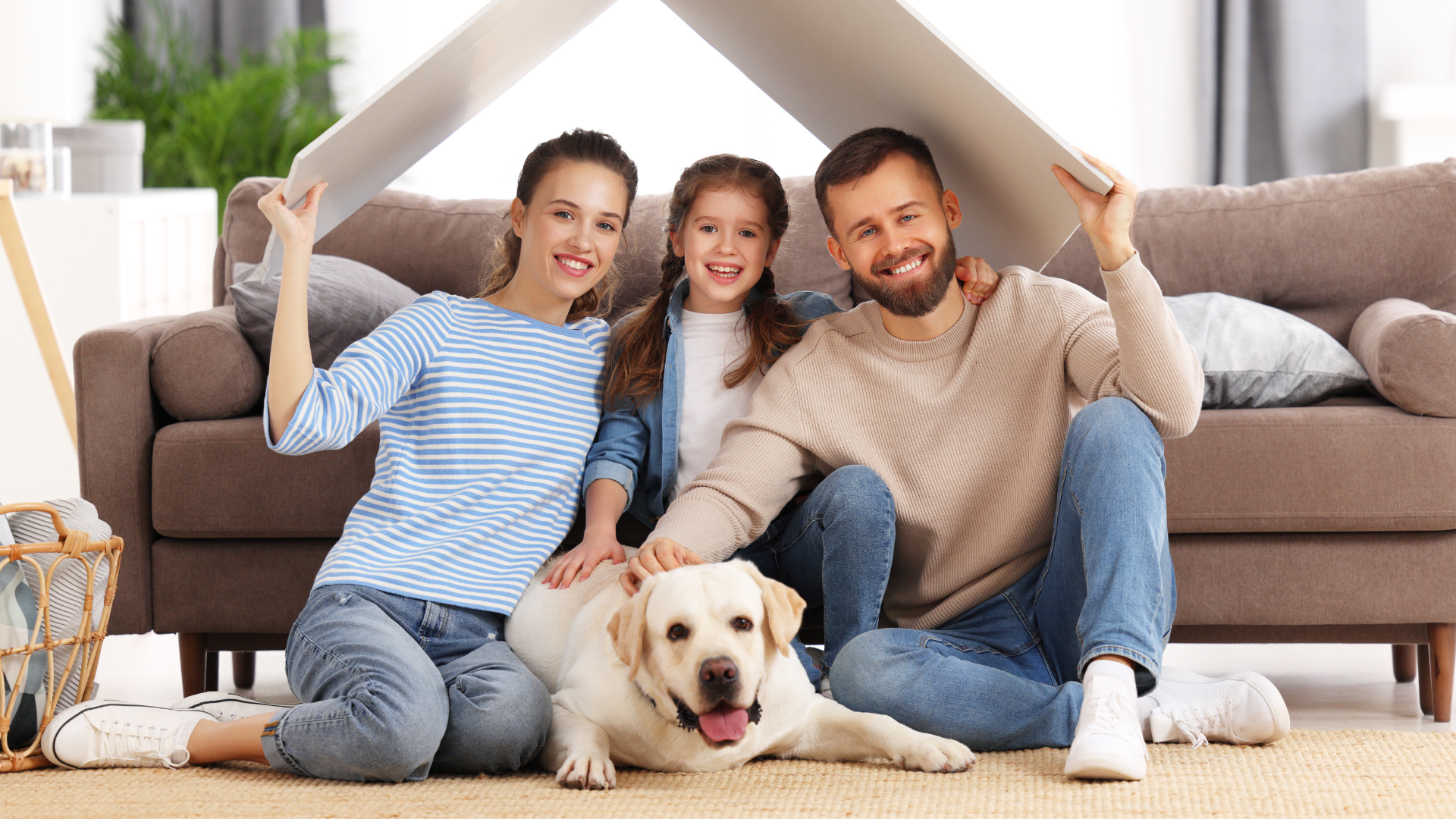 reforma-plan-seguridad-2